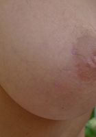 ATK Archives: Abbey (Abbey pees.)