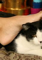 Adrienn from ATK Premium