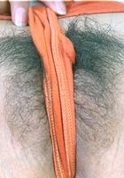 ATK Exotics: Alex (Alex in latinas)