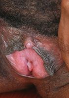 Alia in black women, Alia (ali038) ATK Exotics: Alia (Alia in black women)