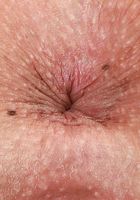 Allie Addison in amateur, Allie Addison (all049) ATK Galleria: Allie Addison (Allie Addison in amateur)