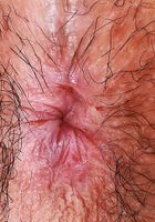 Amber cups her small breasts and spreads her hairy ass., Amber Summer (amb070) ATK Natural & Hairy: Amber Summer (Amber cups her small breasts and spreads her hairy ass.)