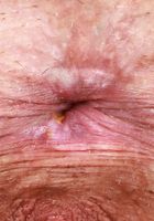 ATK Galleria: Amber Maddie (Amber Maddie is the school girl of your wet dreams)