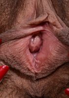 ATK Natural & Hairy: Andy Moon (Andy Moon in young and hairy)