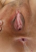 ATK Exotics: Angel Lover (Angel Lover in amateur)