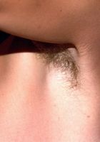 ATK Archives: Anne (Anne in amateur)