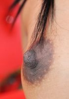 ATK Petites: Anne (Anne in asians)