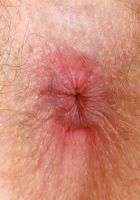 Apricot Pitts Lingerie Spreads, Apricot Pitts (apr024) ATK Natural & Hairy: Apricot Pitts (Apricot Pitts Lingerie Spreads)