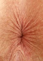 Apricot Pitts Lingerie Spreads, Apricot Pitts (apr024) ATK Natural & Hairy: Apricot Pitts (Apricot Pitts Lingerie Spreads)