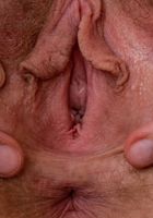 Apricot Pitts from ATK Natural & Hairy