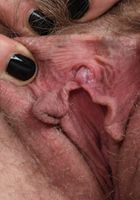 Curly blonde spreads her hairy muff, Apricot Pitts (apr024) ATK Natural & Hairy: Apricot Pitts (Curly blonde spreads her hairy muff)