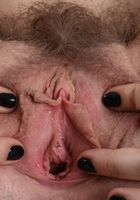 Curly blonde spreads her hairy muff, Apricot Pitts (apr024) ATK Natural & Hairy: Apricot Pitts (Curly blonde spreads her hairy muff)