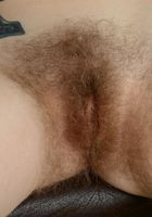 Apricot Pitts in young and hairy, Apricot Pitts (apr024) ATK Natural & Hairy: Apricot Pitts (Apricot Pitts in young and hairy)
