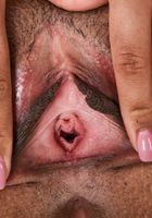Eve Ellwood in latinas, Eve Ellwood (ari049) ATK Exotics: Eve Ellwood (Eve Ellwood in latinas)