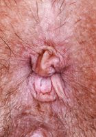 Asteria Jade from ATK Galleria