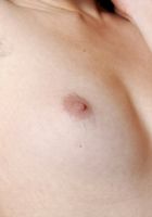 ATK Archives: Autumn (Autumn in)