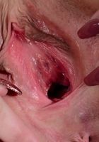 ATK Galleria: Autumn Belle (Autumn Belle in coeds)