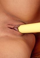 Ava Jay in toys, Ava Jay (ava014) ATK Exotics: Ava Jay (Ava Jay in toys)