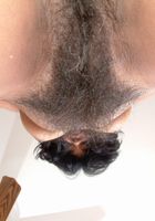 ATK Exotics: Avery (Avery in amateur)