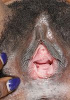 Bella Dahl from ATK Natural & Hairy