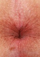 Bella Luna Spreads Wide, Bella Luna (bel062) ATK Galleria: Bella Luna (Bella Luna Spreads Wide)