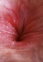 Big Eyes from ATK Petites