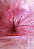 ATK Petites: Big Eyes (Big Eyes Kitty Cat Hairy Pussy Spreads)