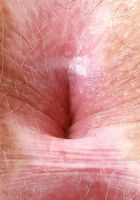 Bratty Wolfie in young and hairy, Bratty Wolfie (bra041) ATK Natural & Hairy: Bratty Wolfie (Bratty Wolfie in young and hairy)