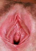 Breezy Bri Pussy Gaping, Breezy Bri (bre050) ATK Petites: Breezy Bri (Breezy Bri Pussy Gaping)