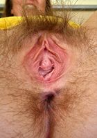 ATK Archives: Carly (Hairy amateur Carly teases with her panties and hairy pussy)