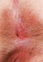 Cece Lachey Upskirt Spreads, Cece Lachey (cec015) ATK Natural & Hairy: Cece Lachey (Cece Lachey Upskirt Spreads)