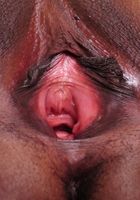 ATK Exotics: Natasha (Natasha in black women)