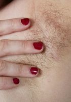 ATK Archives: Chestnut (Chestnut in amateur)