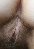 ATK Archives: Chestnut (Chestnut in amateur)