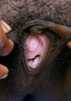 ATK Exotics: Cherry (Cherry in)