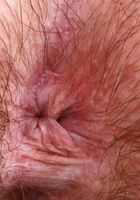 ATK Petites: Annabelle Lee (Annabelle Lee is here to attend to your needs)