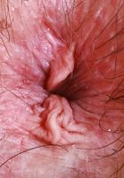 Annabelle Lee comes on strong, Annabelle Lee (cri007) ATK Natural & Hairy: Annabelle Lee (Annabelle Lee comes on strong)