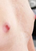 ATK Premium: Daisy Lavoy (Daisy Lavoy Debut)