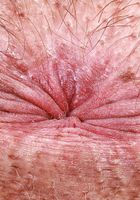 Dakota Marr from ATK Natural & Hairy