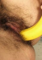 ATK Exotics: Danka (Danka in toys)