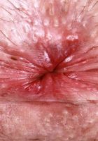 ATK Petites: Daydream Daisy (Daydream Daisy wants it in her or on her)