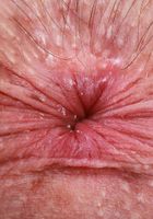 Daydream Daisy from ATK Galleria