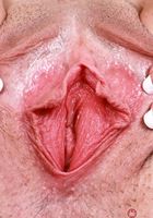 ATK Galleria: Daydream Daisy (Daydream Daisy is a flower in bloom)