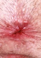 Daydream Daisy from ATK Petites