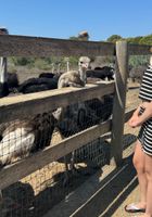 Dez Hansen from ATK Girlfriends