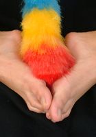 Ditty from ATK Archives