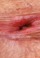 Dylan Moore is a hottie with a body, Dylan Moore (dyl003) ATK Galleria: Dylan Moore (Dylan Moore is a hottie with a body)