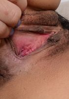 Elle Voneva in exotic and hairy, Elle Voneva (ell038) ATK Natural & Hairy: Elle Voneva (Elle Voneva in exotic and hairy)