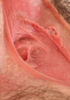 Emma strips down and gapes her hairy pink pussy, Emma Evins (emm030) ATK Natural & Hairy: Emma Evins (Emma strips down and gapes her hairy pink pussy)