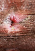 Fae Love highlights her firm ass and pretty pink pussy., Fae Love (fae004) ATK Petites: Fae Love (Fae Love highlights her firm ass and pretty pink pussy.)